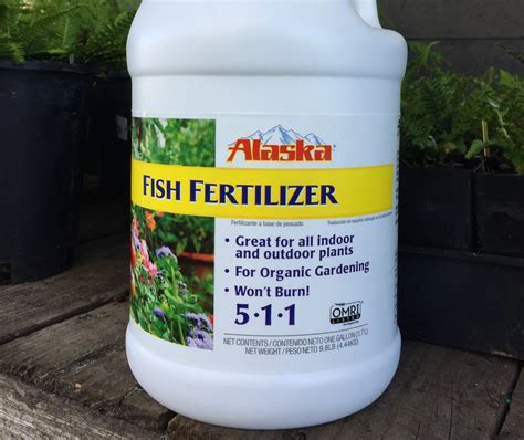 Does Alaska Fish Fertilizer Expire: An Insightful Examination of Its Shelf Life and Organic Gardening Practices