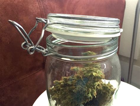 what happens when you put weed in a glass jar: how does the act of preserving cannabis in a glass container affect its potency and potential?